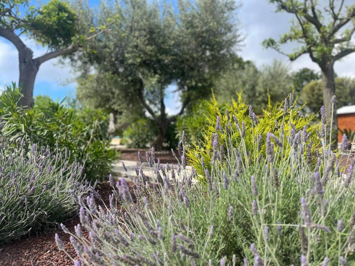 Maison Dei Trulli Apartment Locorotondo Exterior foto