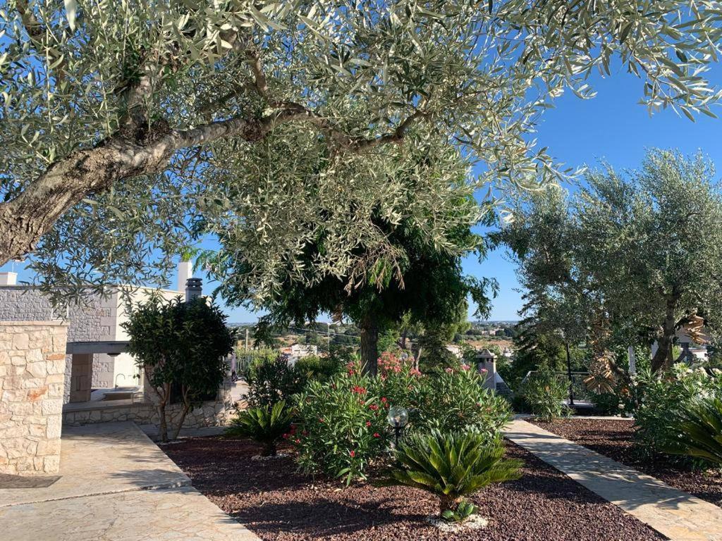 Maison Dei Trulli Apartment Locorotondo Exterior foto
